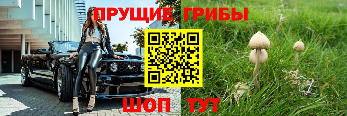 купить   Вход с VPN  Галлюциногенные грибы ЛСД  Котельники  Галлюциногенные грибы ЛСД 